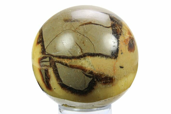 Polished Septarian Sphere - Madagascar #289952